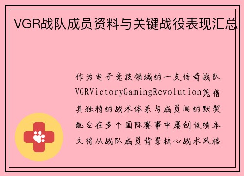 VGR战队成员资料与关键战役表现汇总